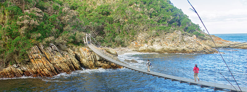 Hängbron i Tsitsikamma nationalpark i Sydafrika.